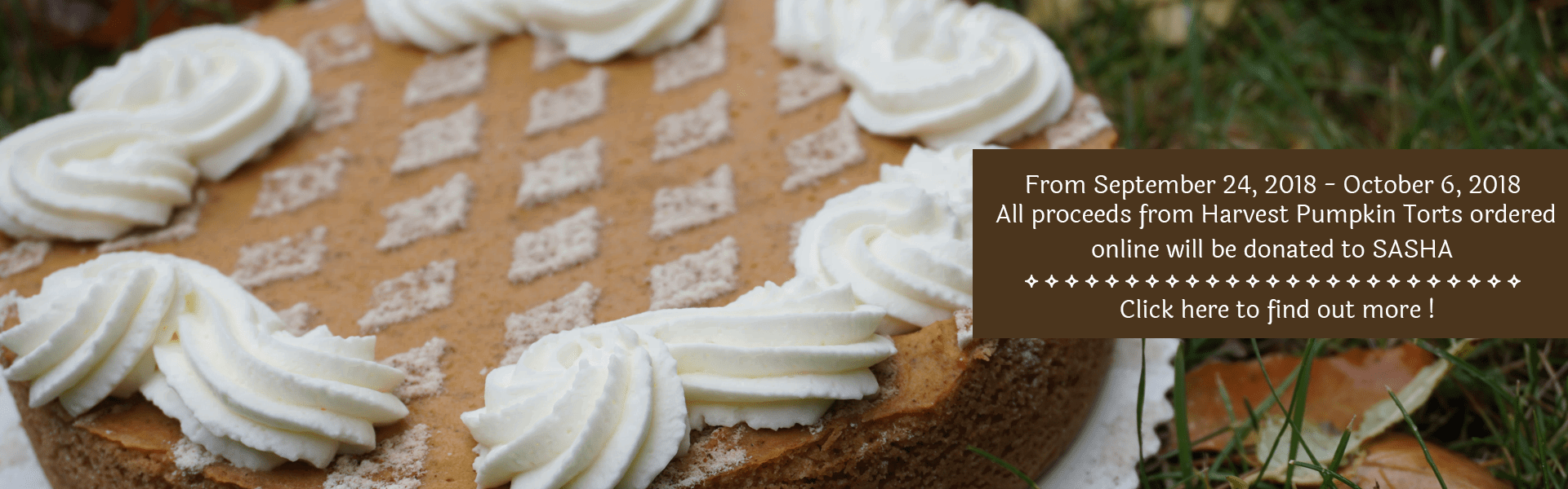 Dutch Delicious Bakery Edmonton's Dutch Bakery